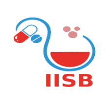 Our Success Partners